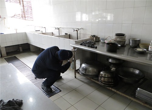 青浦区商场灭蟑价格/青浦区商场灭蟑价格实惠见效快/清波供
