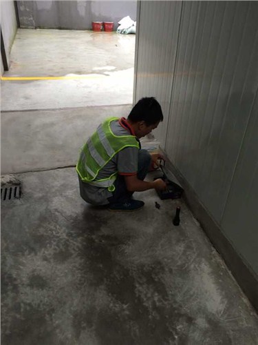 徐汇区家俱广场灭鼠多少钱/徐汇区家俱广场灭鼠报价/清波供