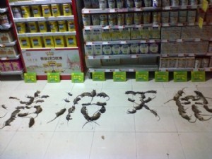 松江区药店杀虫价格/松江区药店杀虫商联系方式/清波供